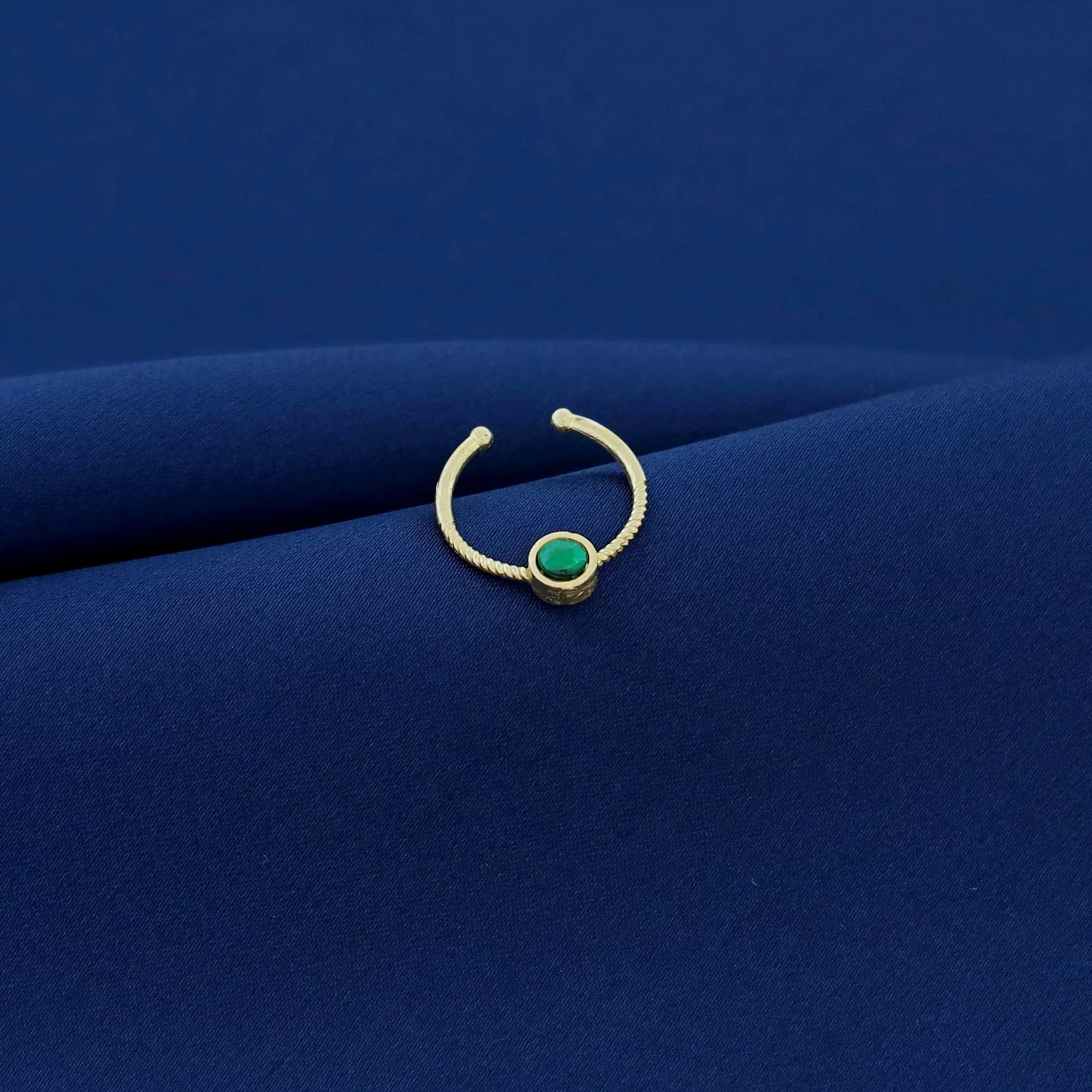 Chayanika Golden Septum - Image 5