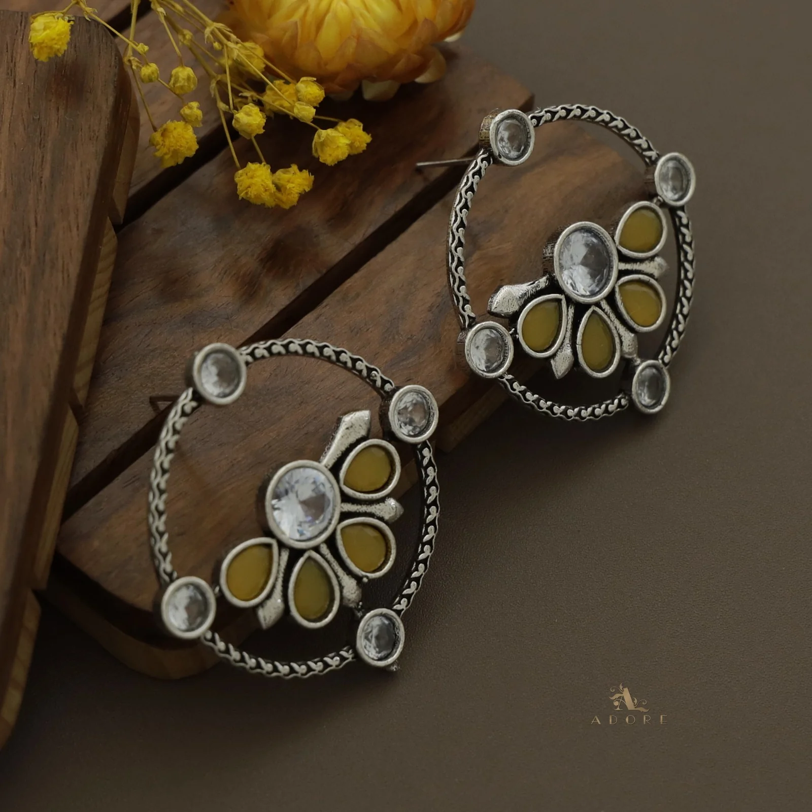 Glossy Syra Circle Earring - Image 15
