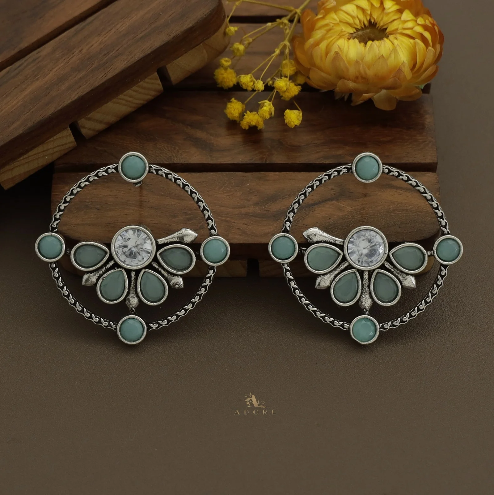 Glossy Syra Circle Earring - Image 21