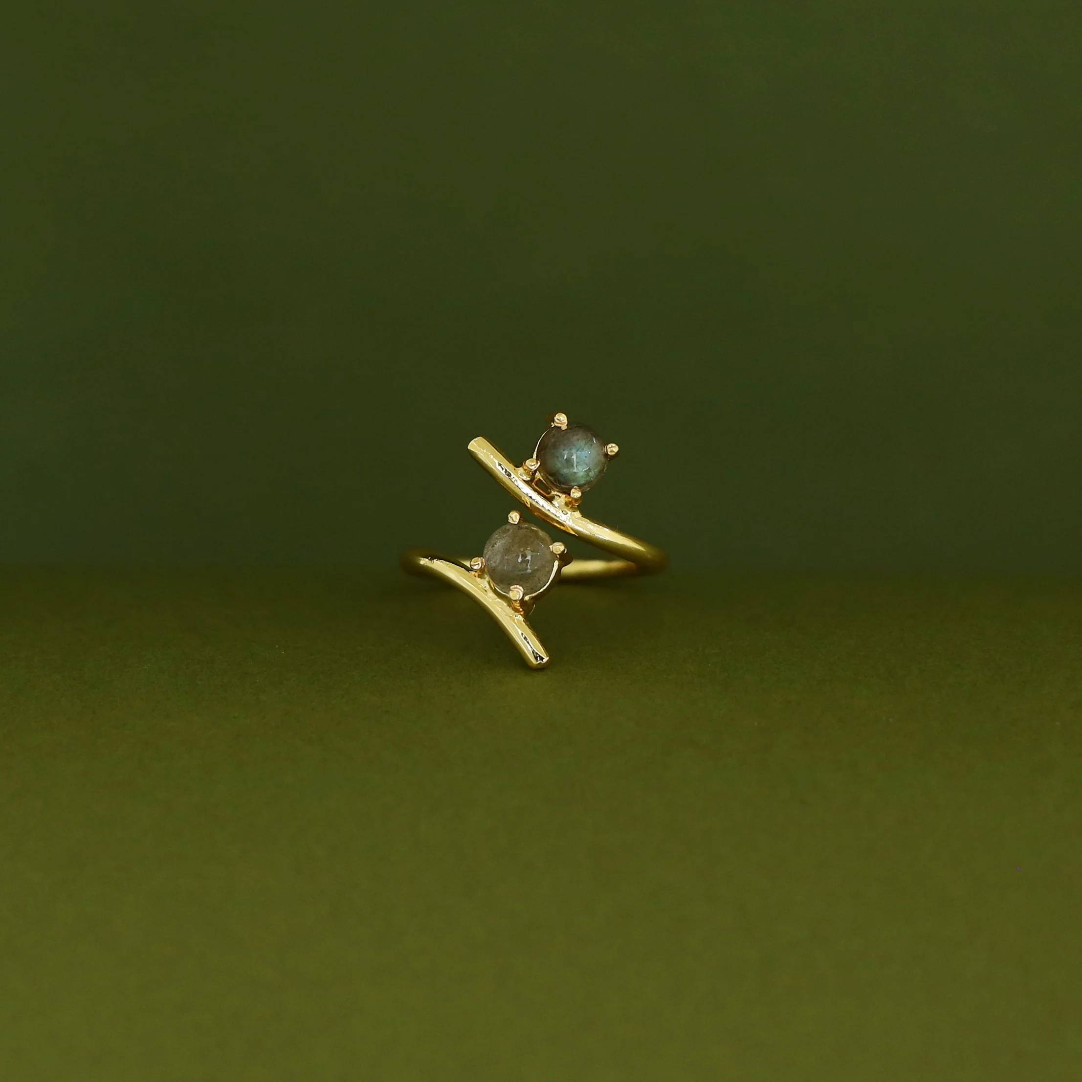 Golden Dual Glossy Ring - Image 11